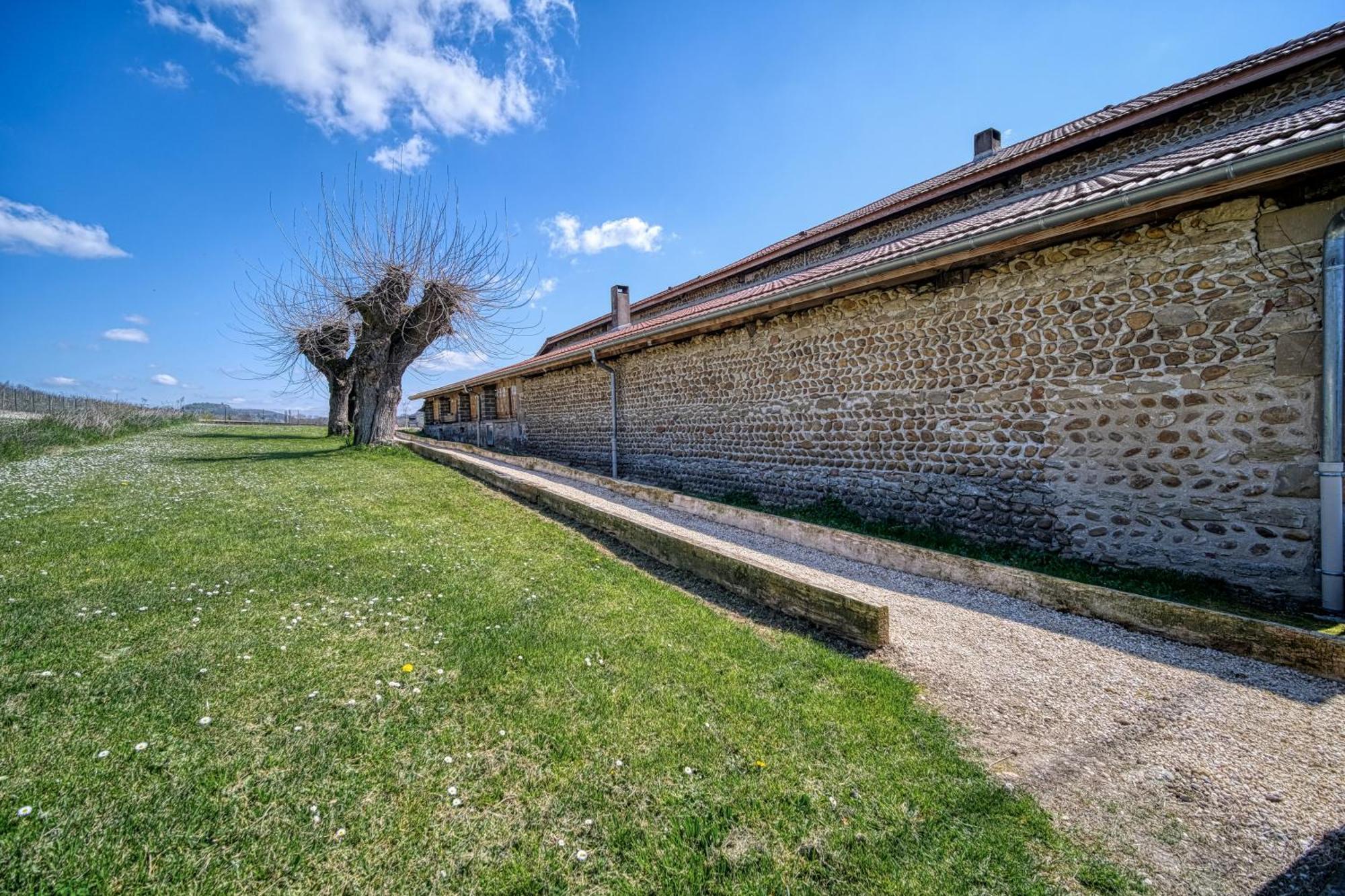 Maison Michonieres - Gite 3 Etoiles - 8 Personnes Miribel  Екстер'єр фото